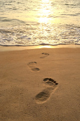 footprints on the sand on the to the sea
