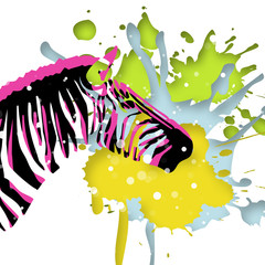 zebra con macchia gialla