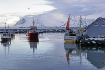 Fishing boats moored in the port-Eggum fishing village. Vestvagoya-Lofoten-Norway. 0560
