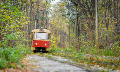 Fototapeta na wymiar a tram ride in the autumn forest 