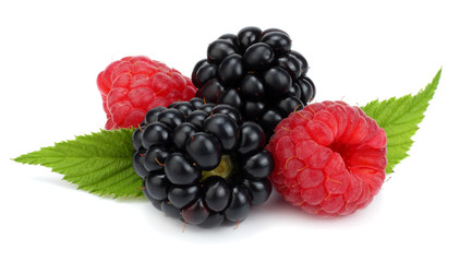 blackberries with raspberries and green leaf isolated on white background. macro