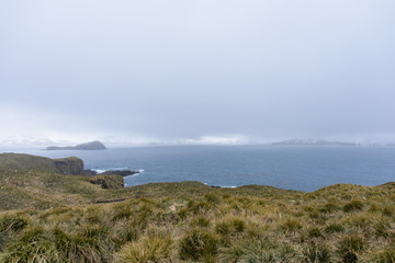 South Georgia landscape