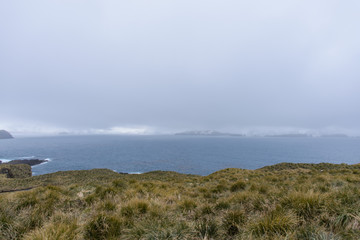 South Georgia landscape