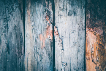 Old wooden background, rustic pine planks floor. Scratched light colored wood board texture backdrop, house surface.