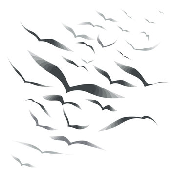 Flock of birds on a white background