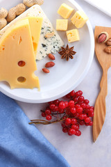 Cheese with mold and hard yellow cheese on a white plate, honey, nuts, red berries on a white background, cheese with holes for Christmas dinner, cheese background, pop art