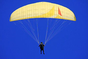 paraglider flying