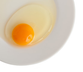 A fresh chicken egg, on the plate, isolated on a white background
