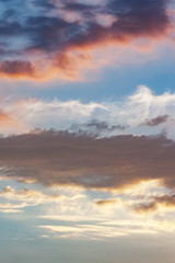 Vertical view of tiny or tender sky texture or background