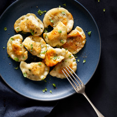 Fried dumplings, pierogi with meat filling sprinkled with fresh herbs on a blue plate, top view