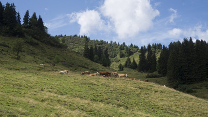 montagne