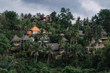 Campuhan Ridge Walk in Ubud. Tjampuhan's Sacred Hills. Bali, Indonesia