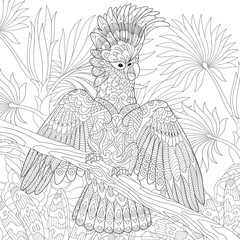 Fototapeta premium Coloring page of australian cockatoo parrot in tropical jungle forest. Freehand sketch drawing for adult antistress colouring book with doodle and zentangle elements.