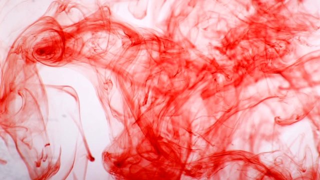 scarlet paint dissolves in the liquid. Slow motion