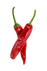 two hot red chili peppers