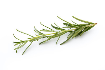 Fototapeta premium Rosemary isolated on white background, Top view.