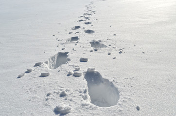 Footprints of a man on white snow, in winter
