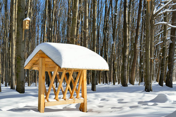 Feeding trough for feeding animals in the forest in winter