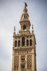 Fototapeta na wymiar La giralda, en la catedral de sevilla, a mediodía, cielo azul, andalucía, España