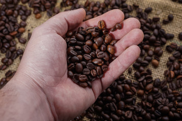 Coffee beans in heand with blured background