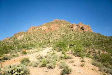 Fototapeta premium Arizona Desert Hills