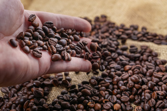 Coffee beans in heand with blured background