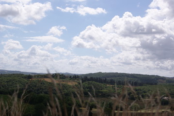 SONY DSC