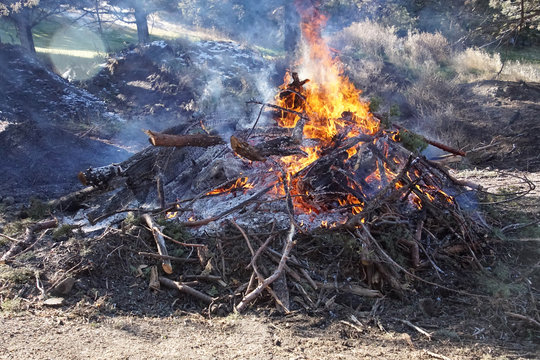 Autumn Slash Fire To Help In Wildfire Prevention