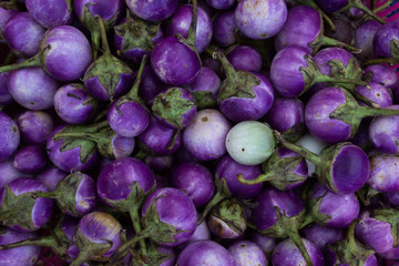 Close-up round fresh organic raw purple eggplant in farmer's market. Healthy and delicious purple eggplants background. (Selective focus)