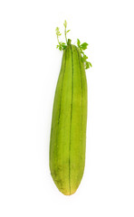 Fresh ridge gourd Luffa isolated on white background