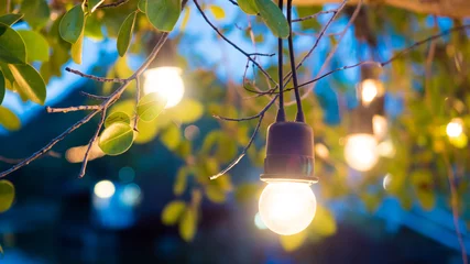 Foto op Aluminium lamp on tree background © boyhey