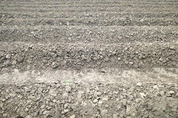 prepared farm soil for planting