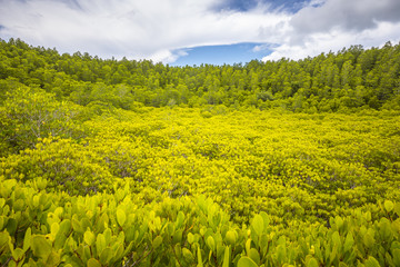 Prasae, Rayong, Thailand