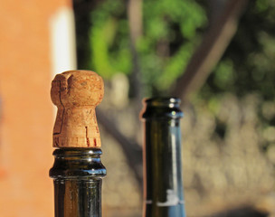 Cork stopper and bottle holes