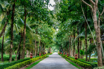 Concrete country road