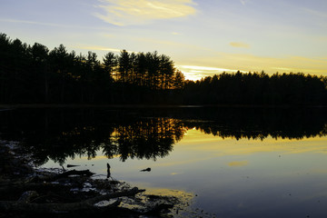 Sunset on a forest lake.