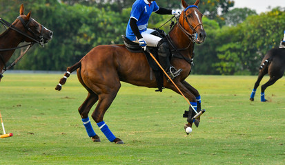 Side view of The horse polo player