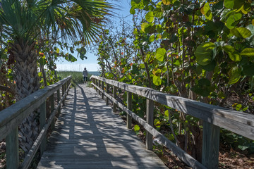 Bridge to beach over sand dunes