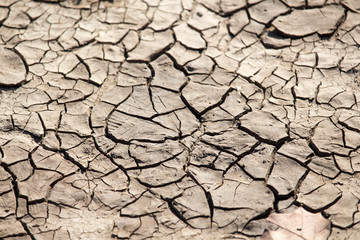 Cracked Dry Mud and Soil 2