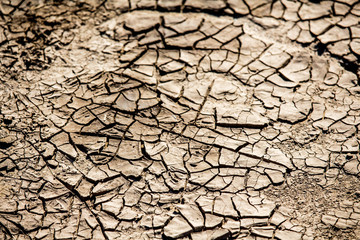 Cracked Mud and Soil