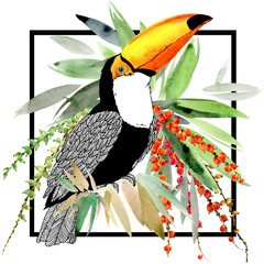 toucan bird and tropical plant © Елена Фаенкова