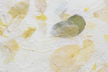 Striped flowers on Mulberry paper texture background