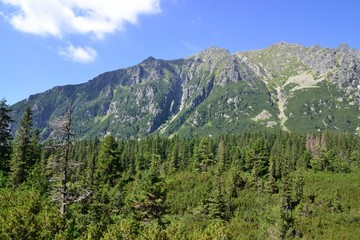 Fototapeta na wymiar Tatras - Slovakia
