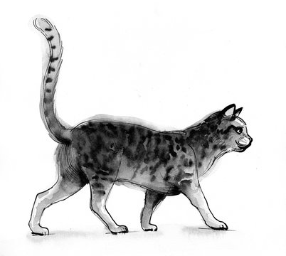 Ink sketch of a walking cat
