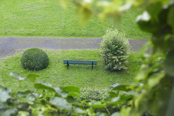 Blick von erhöhtem Standpunkt auf eine grüne Sitzbank zwischen zwei Büschen in einem grünen Park