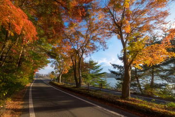 Mt. Fuji in the Momiji tunnel. Fuji mountain at Kawaguchiko lake in afternoon sunshine rise with autumn colorful maple leaf.