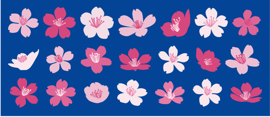 桜の花のベクター素材21個セット　Set of 21 Cherry blossom flowers vector illustrations on blue background - Japanese Sakura flower