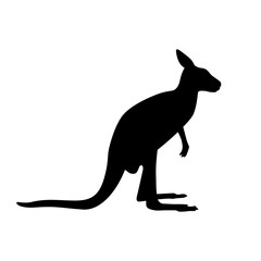 Cangaroo (Macropodidae), shade picture