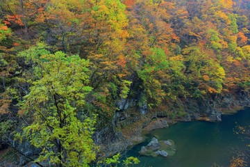 紅葉の抱返り渓谷