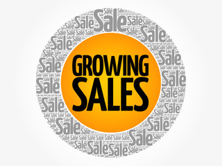 Growing Sales words cloud, business concept background